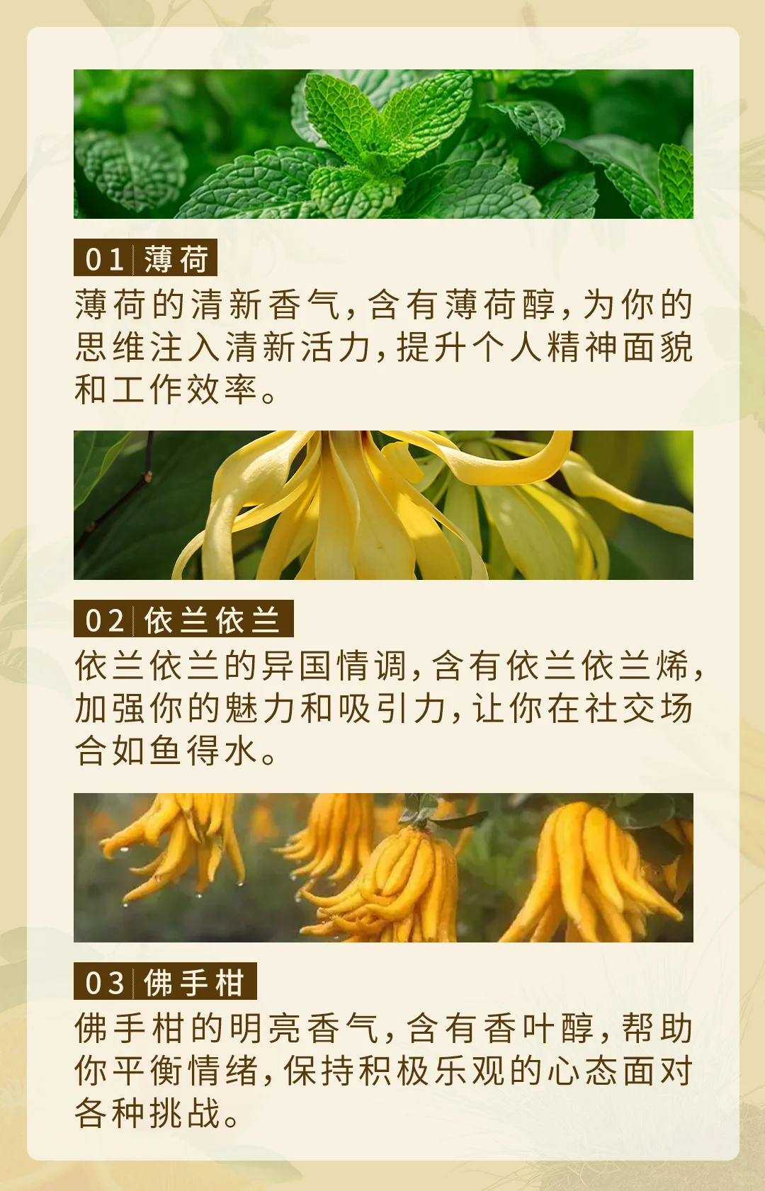 ?九种旺自己的香气|中式自然香提升运势