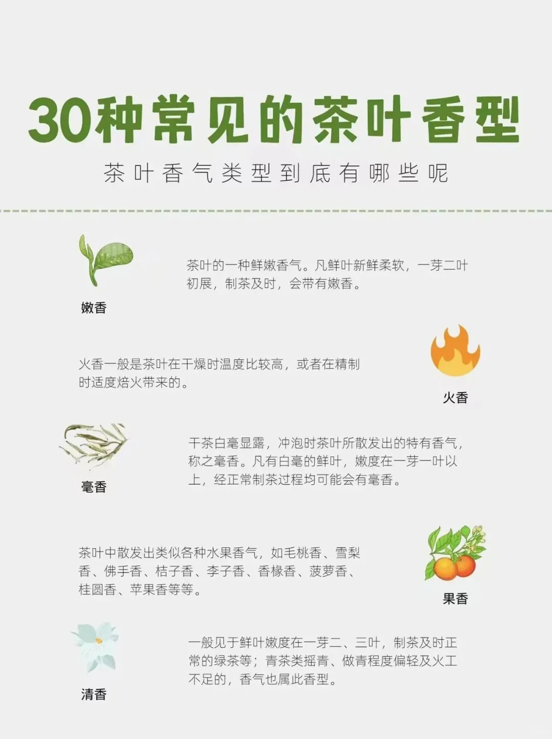 茶知识｜30种常见的茶叶香型，你知道多少