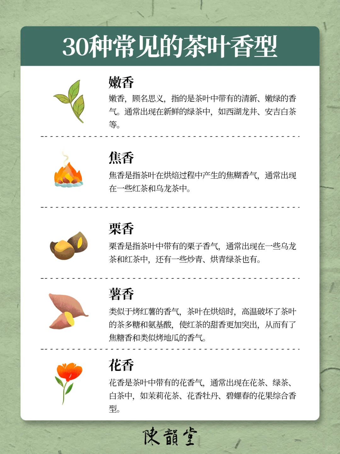 涨知识❗️一张图了解30种常见的茶叶香型