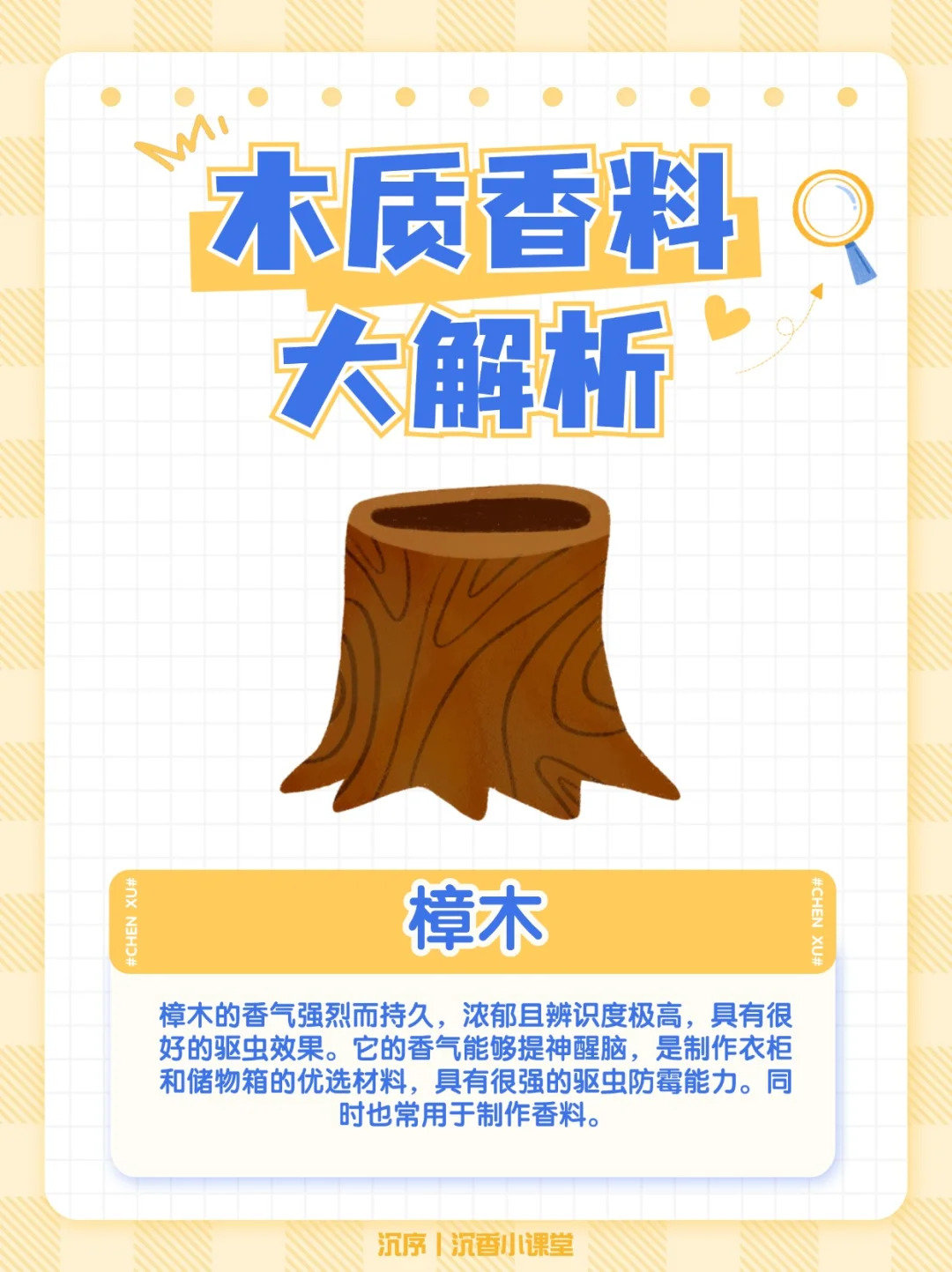 木质香料指南：常见的木质香你知道几种？