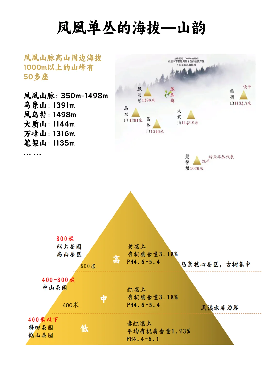 粉丝提问·凤凰单丛的十大香型解答