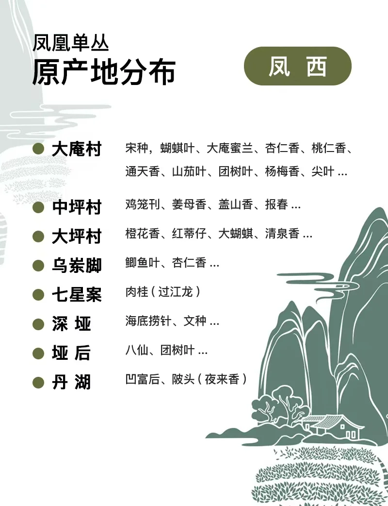 粉丝提问·凤凰单丛的十大香型解答