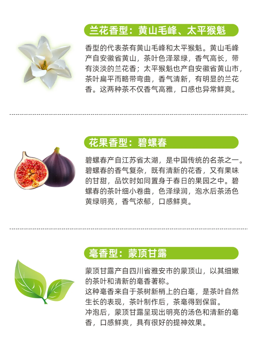 常见绿茶9大经典香型 哪款是你的心头好？