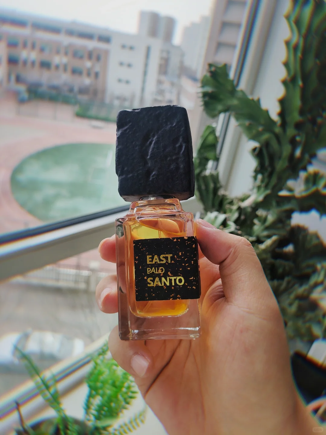 东方圣木香水试用笔记。