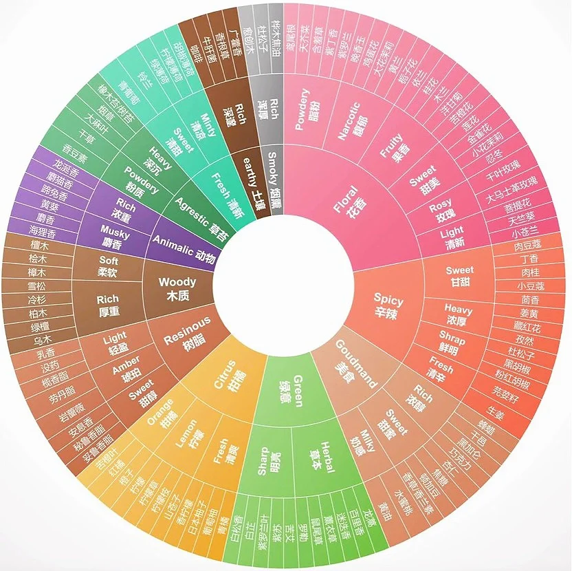 JCE调香大师的气味分类体系