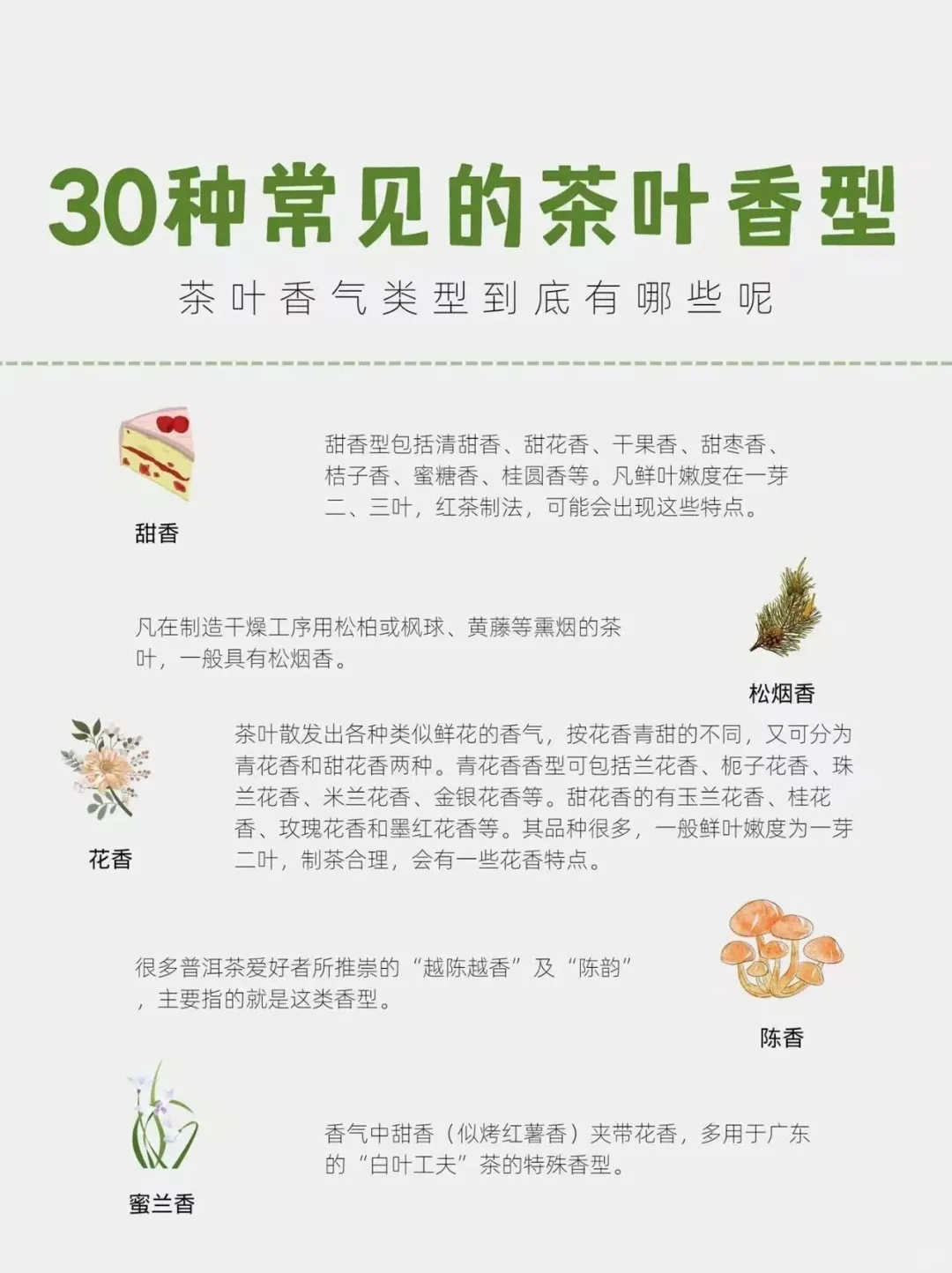 茶知识｜30种常见的茶叶香型，你知道多少