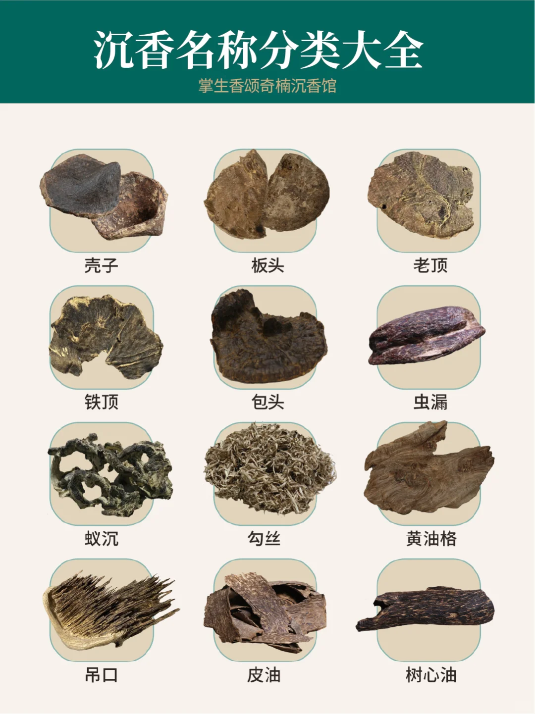 看完这个笔记,我瞬间懂沉香的分类了!