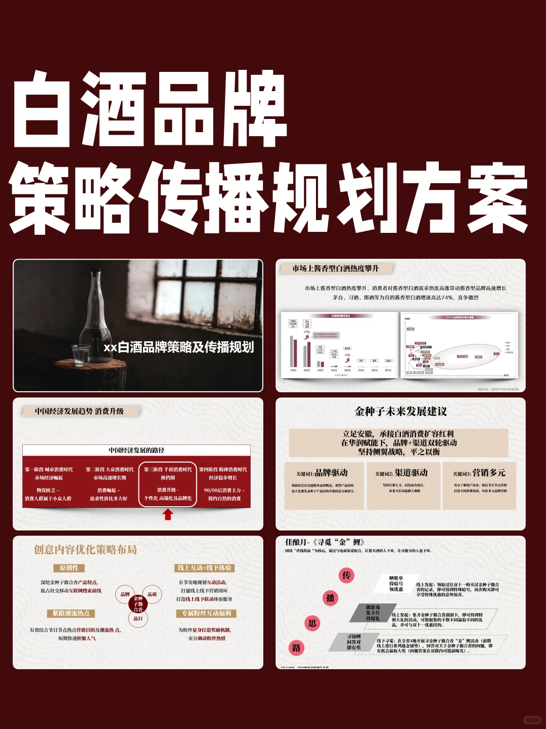 白酒品牌策略及传播规划方案