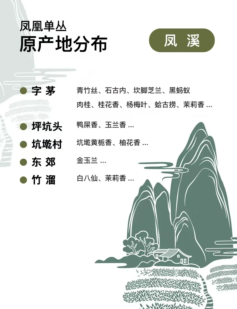 粉丝提问·凤凰单丛的十大香型解答