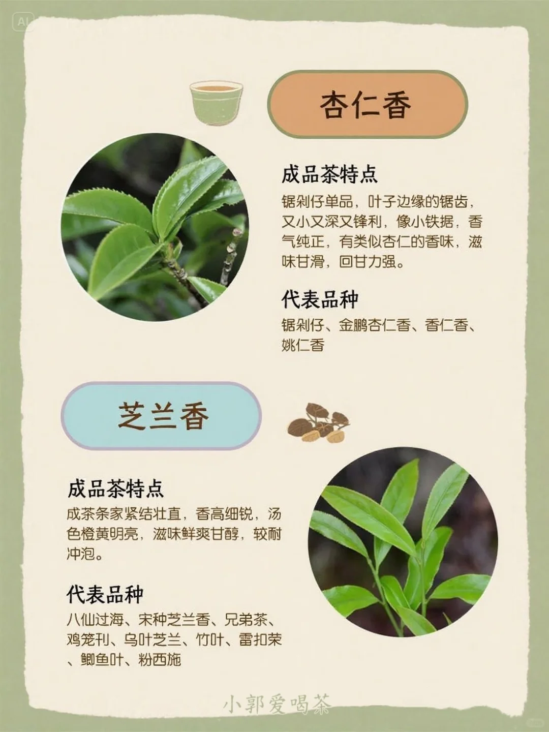 ? 一张图看懂凤凰单枞十大香型!