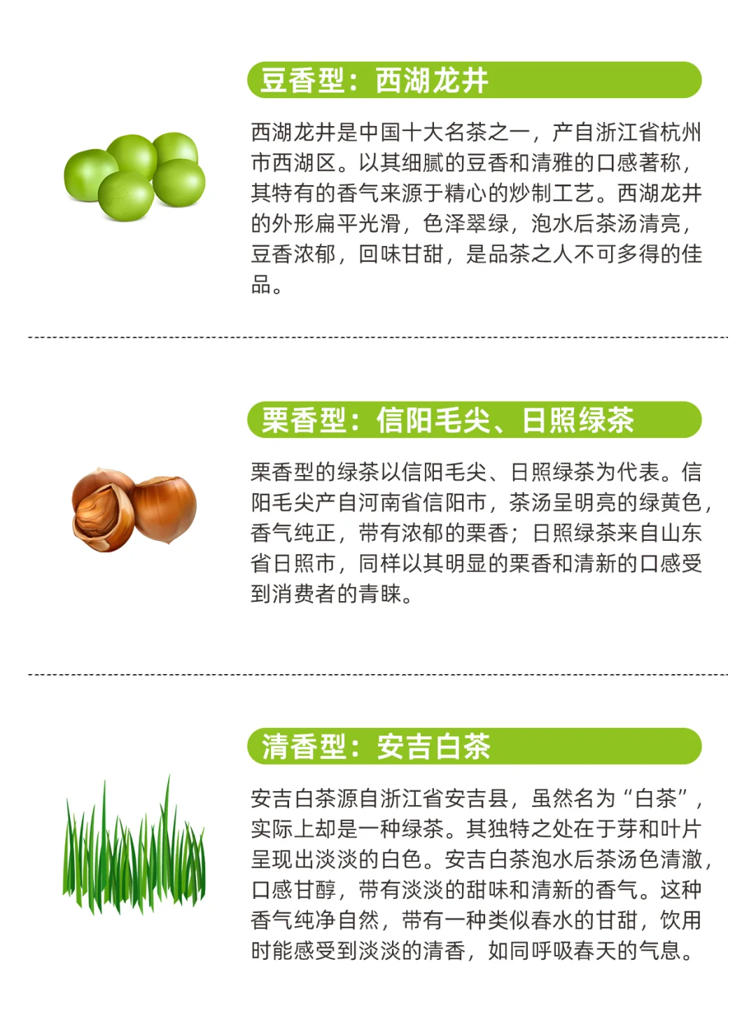 常见绿茶9大经典香型 哪款是你的心头好？