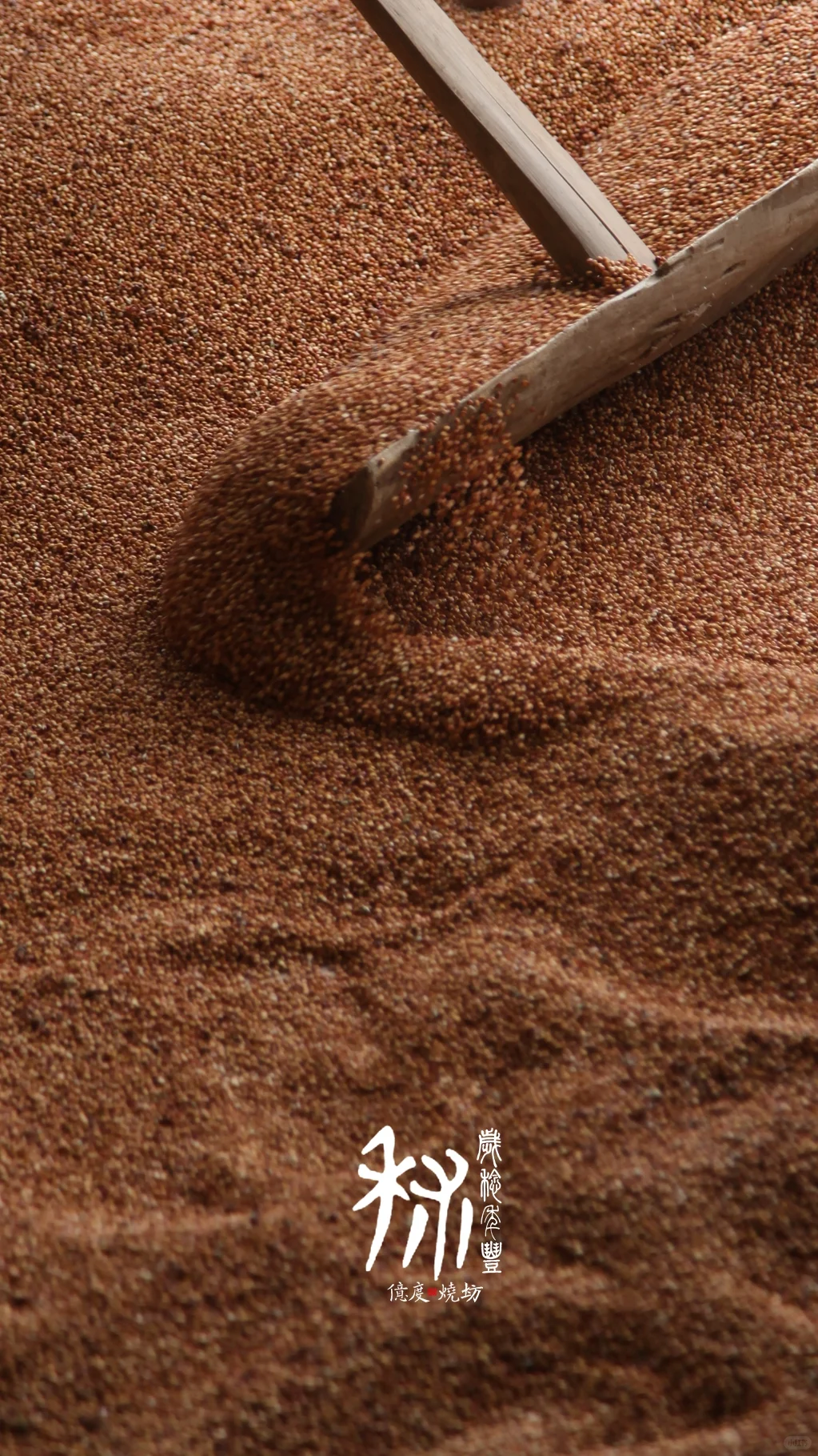 茅台镇的小红樱子糯高粱熟了