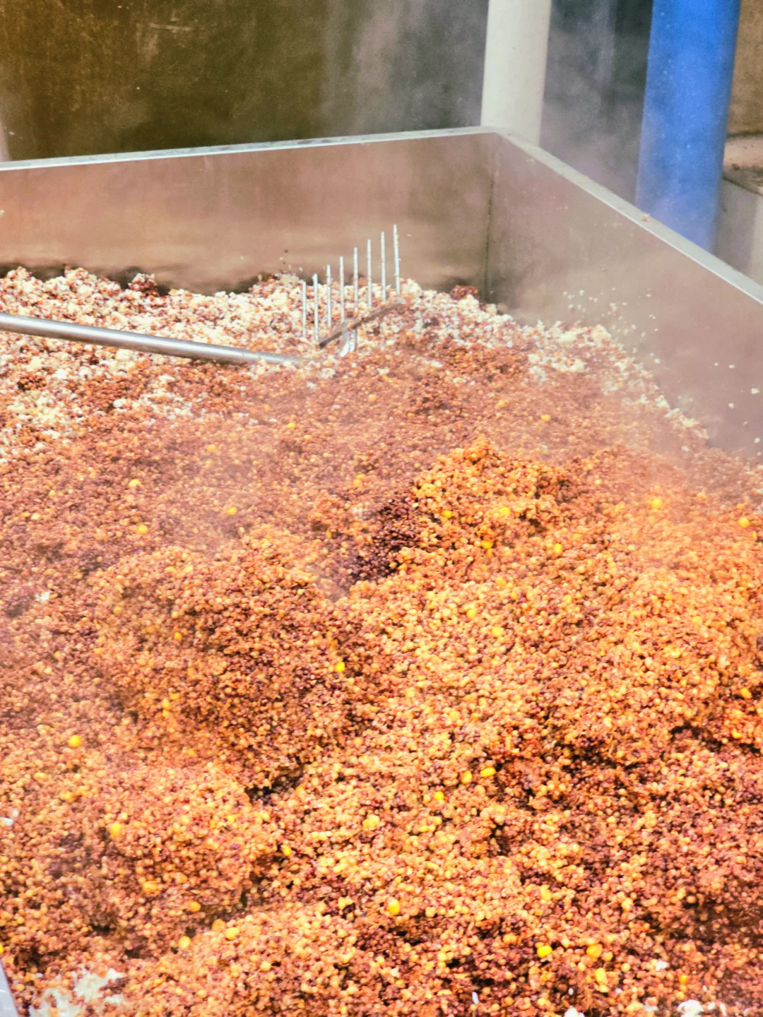 满是勾兑酒的时代,真的没人喝纯粮酒了吗?