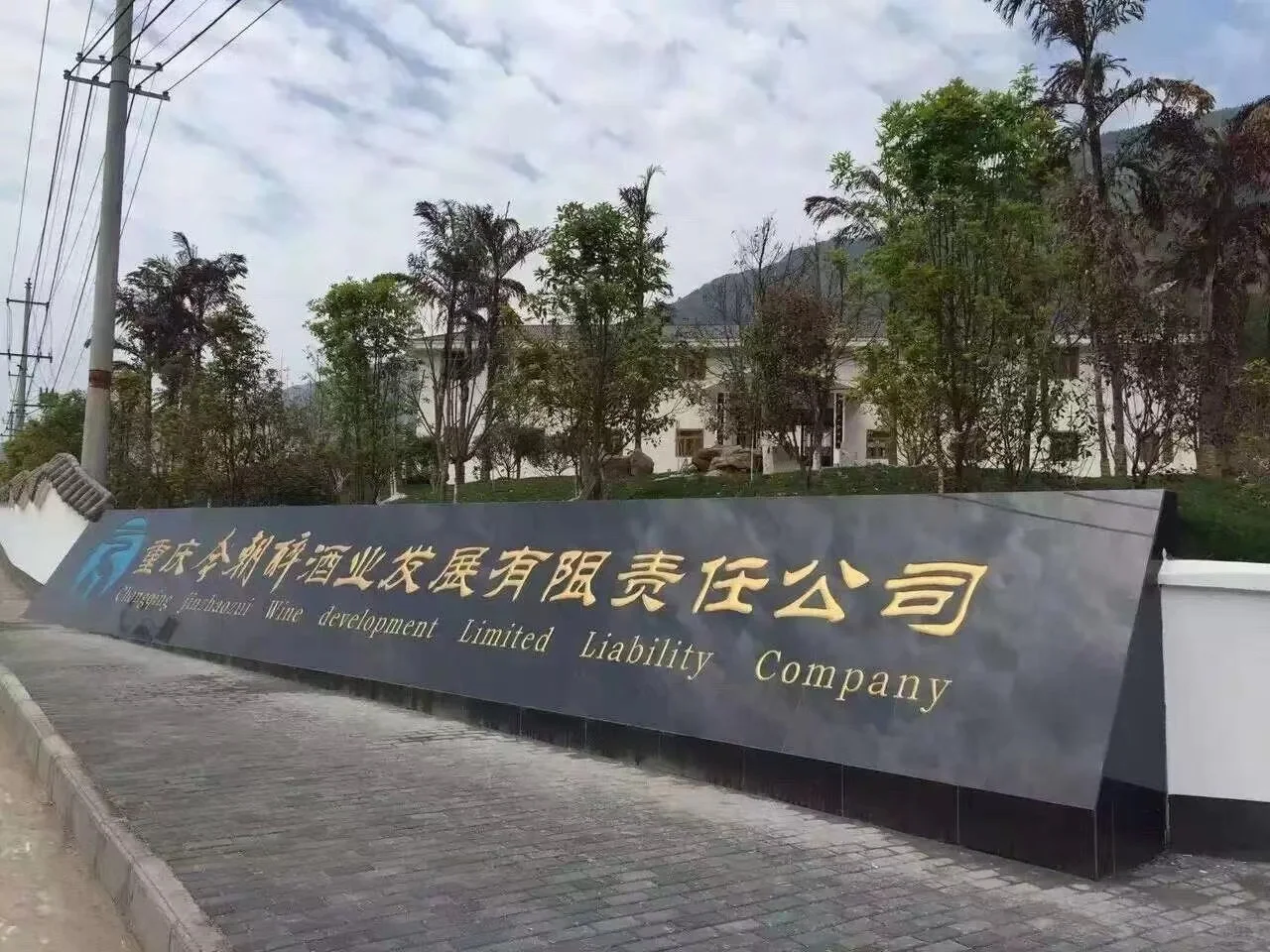 酒厂直发