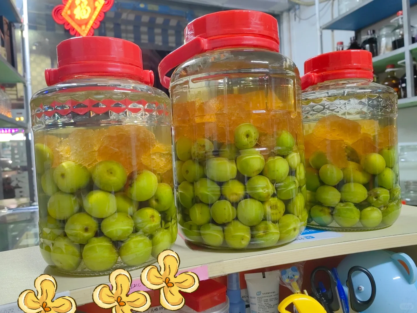 老师泡青梅酒