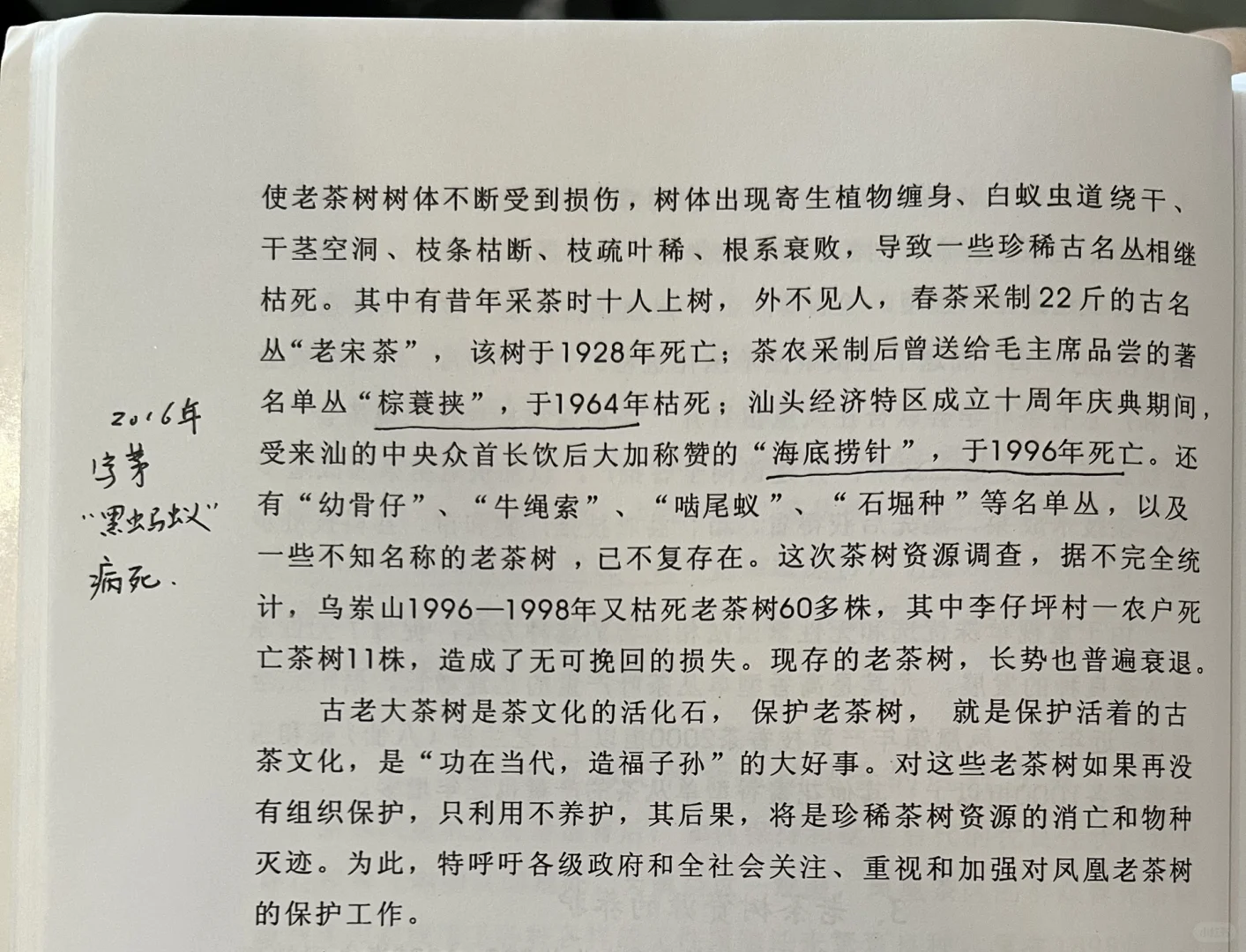 干货，很干