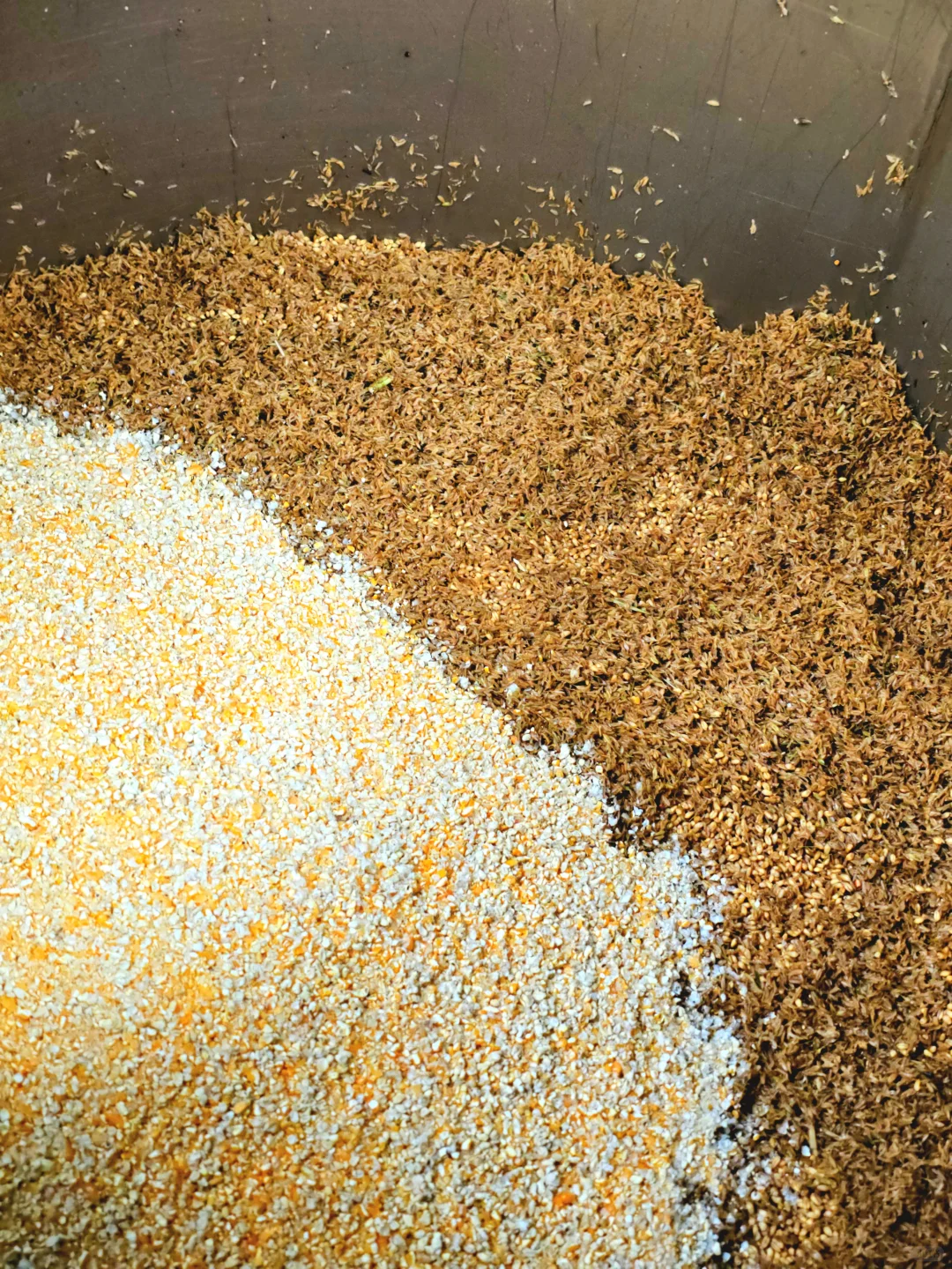 满是勾兑酒的时代,真的没人喝纯粮酒了吗?