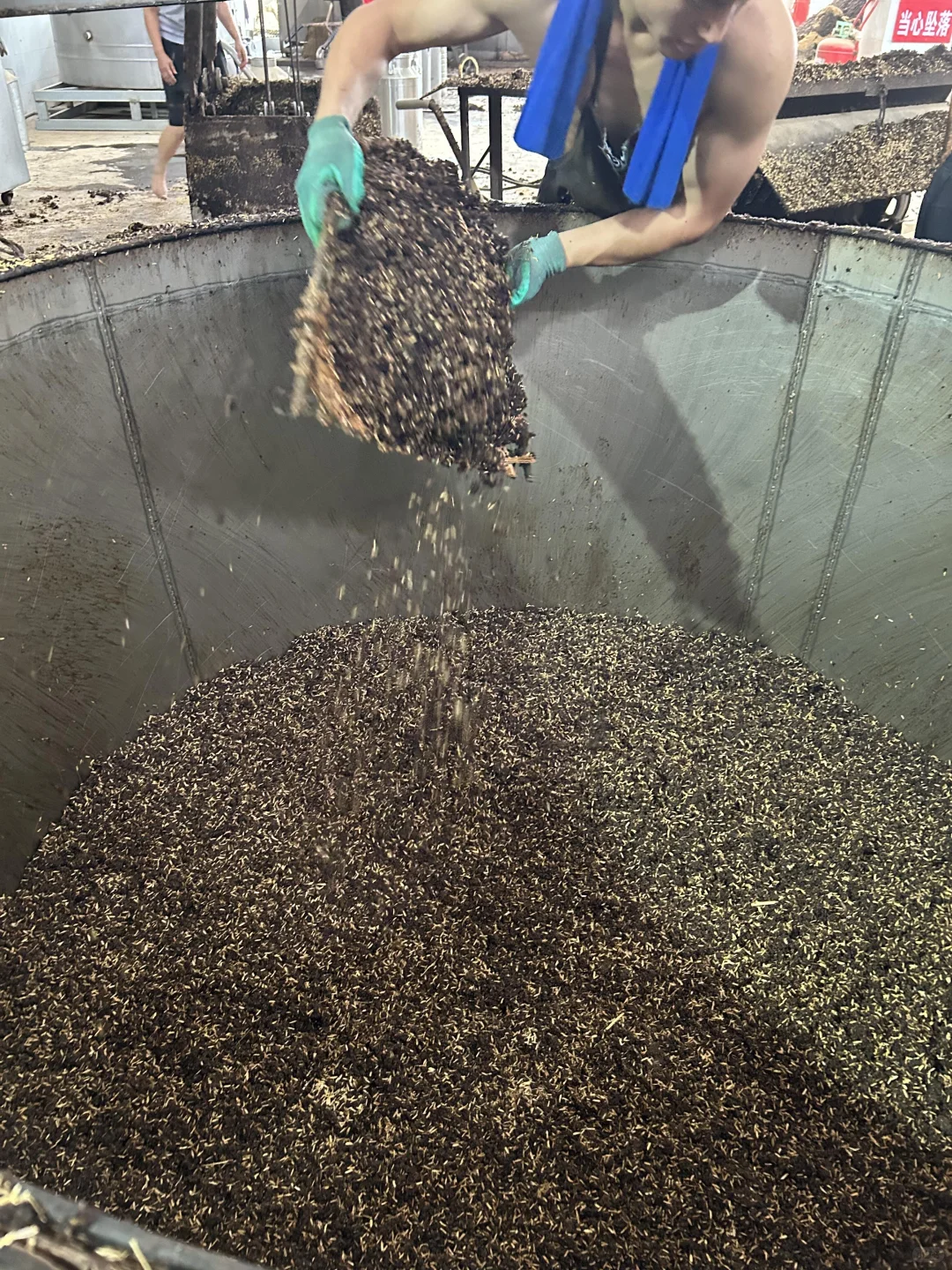 教你一天玩转茅台镇?