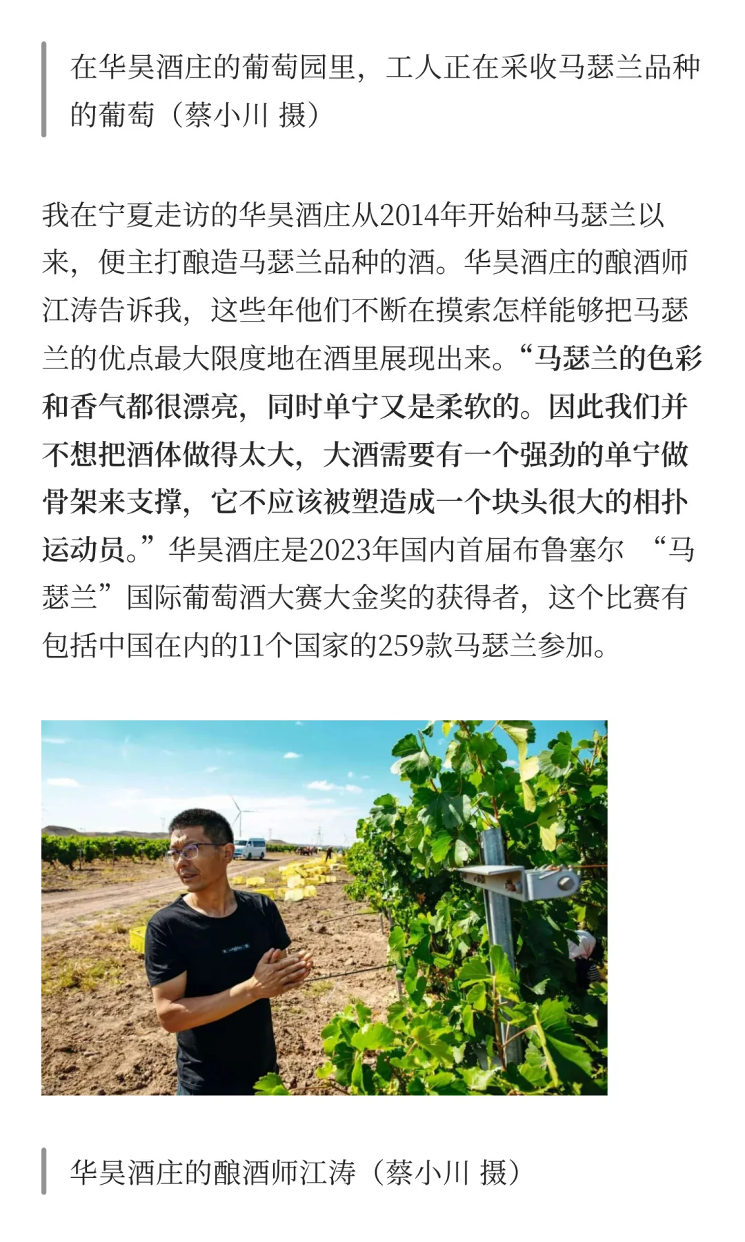 为什么不试试国产葡萄酒？