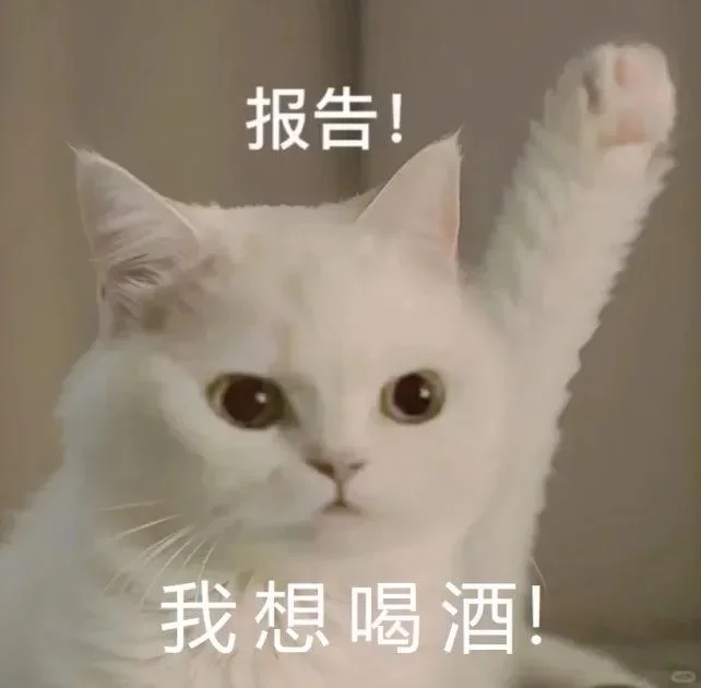宁夏源头直发口粮红酒！踩箱喝不心疼！