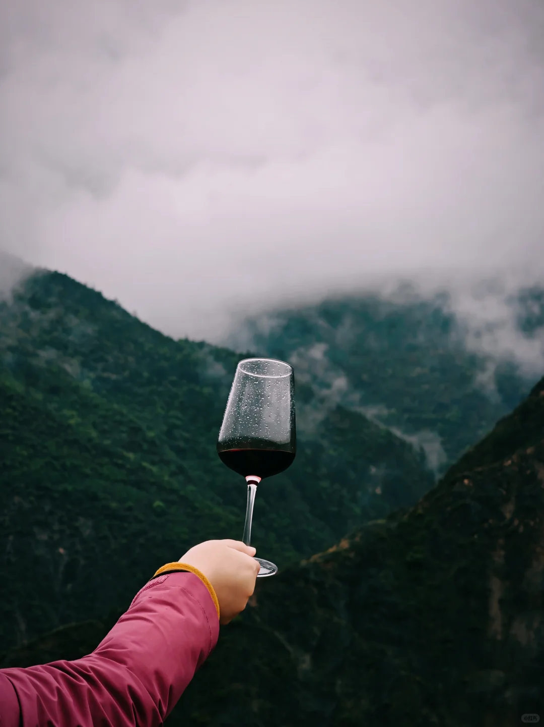 都说香格里拉葡萄酒贵,我不同意