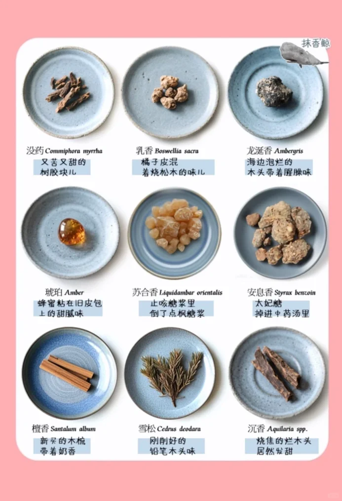 闻完这些香料原料我裂开了!香料地狱级劝退