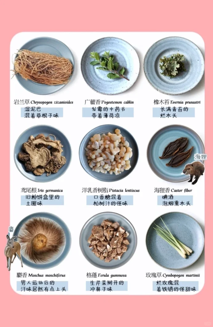 闻完这些香料原料我裂开了!香料地狱级劝退