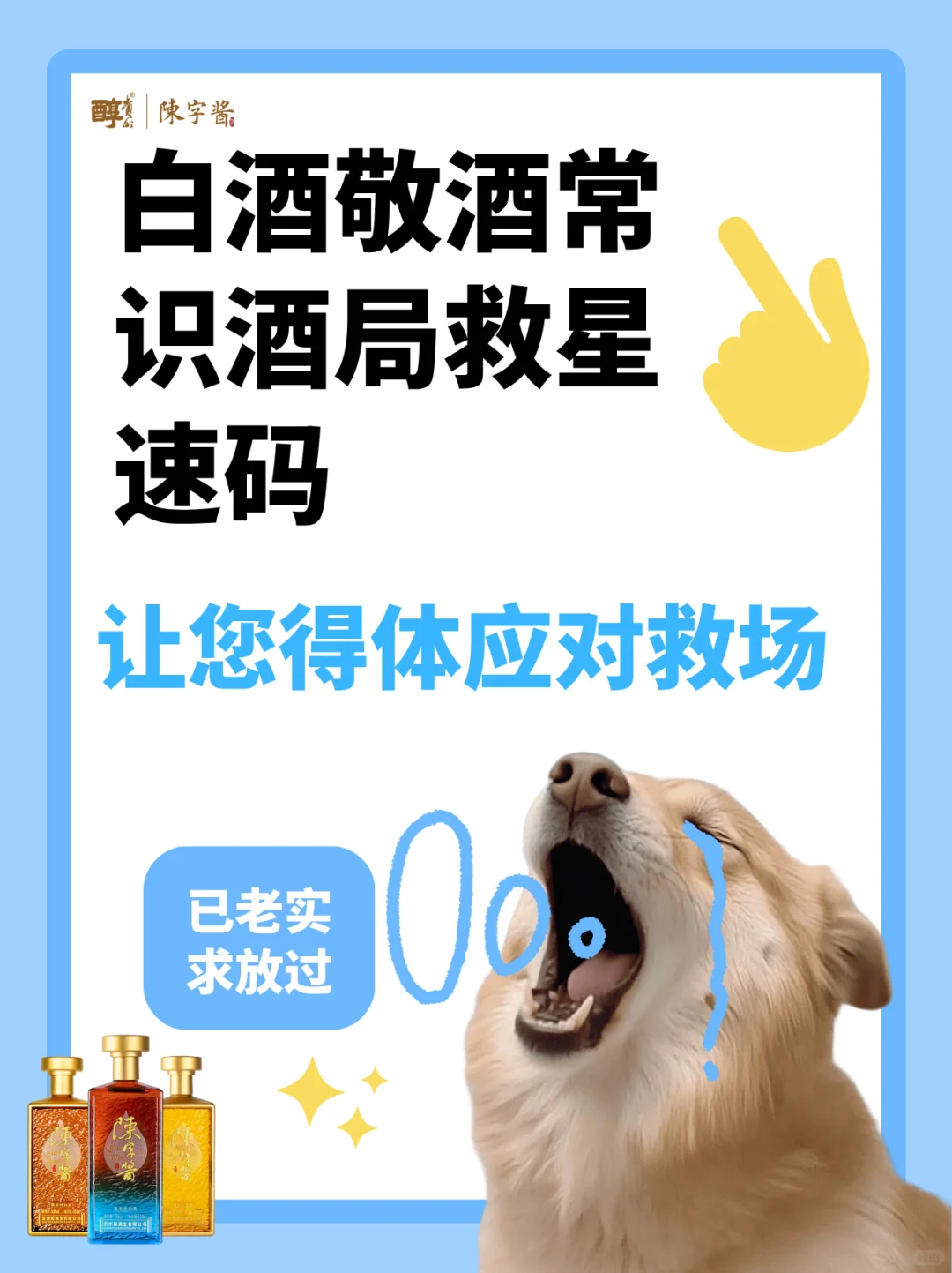 白酒敬酒常识速码！聚会好感度直接拉满！