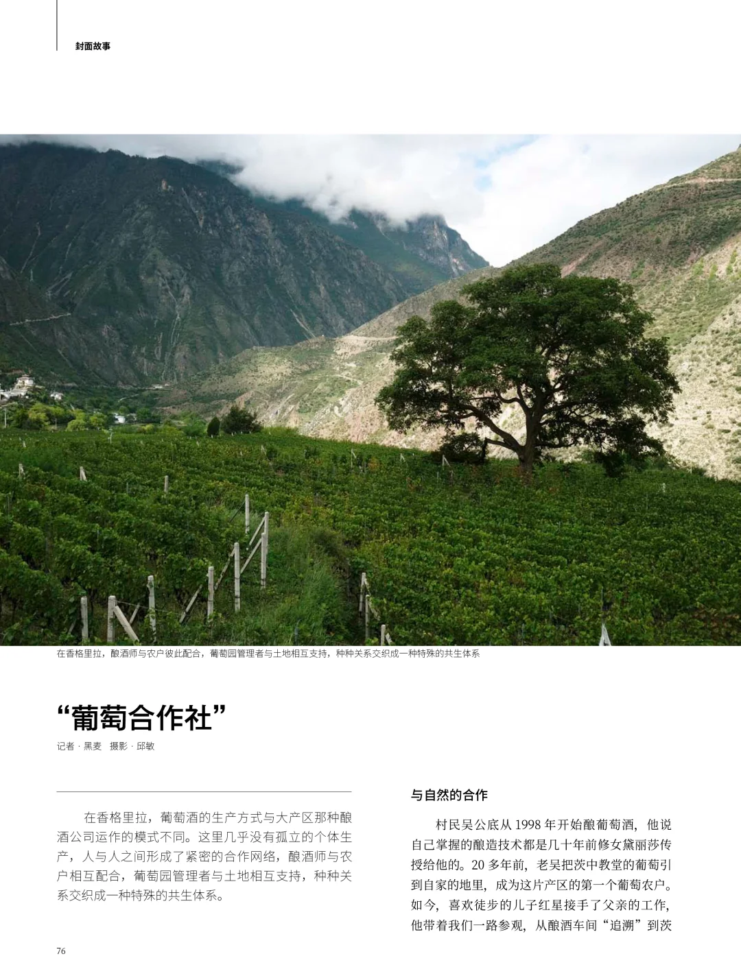 三联新刊|寻找好酒:葡萄酒的中国可能性