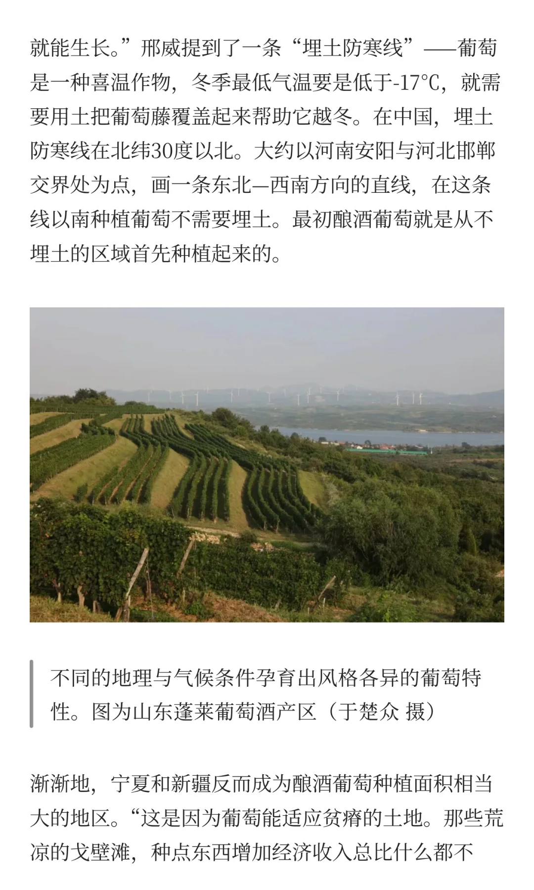 为什么不试试国产葡萄酒？