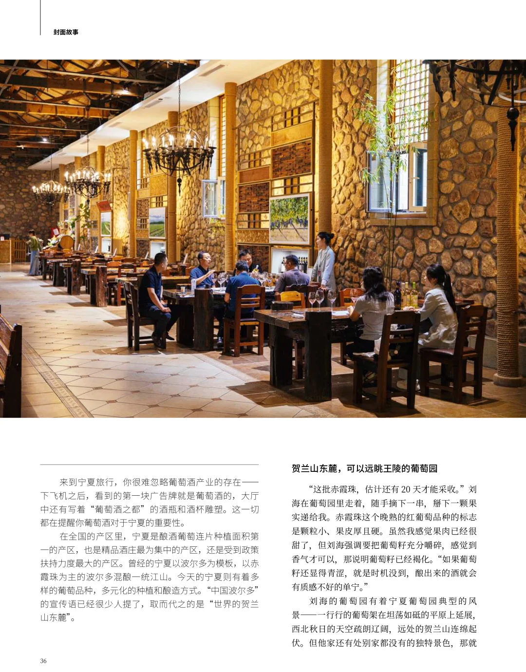 三联新刊|寻找好酒:葡萄酒的中国可能性