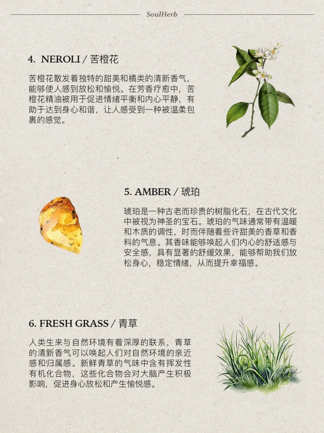 自然疗愈|?种帮助你提升幸福感的香味?