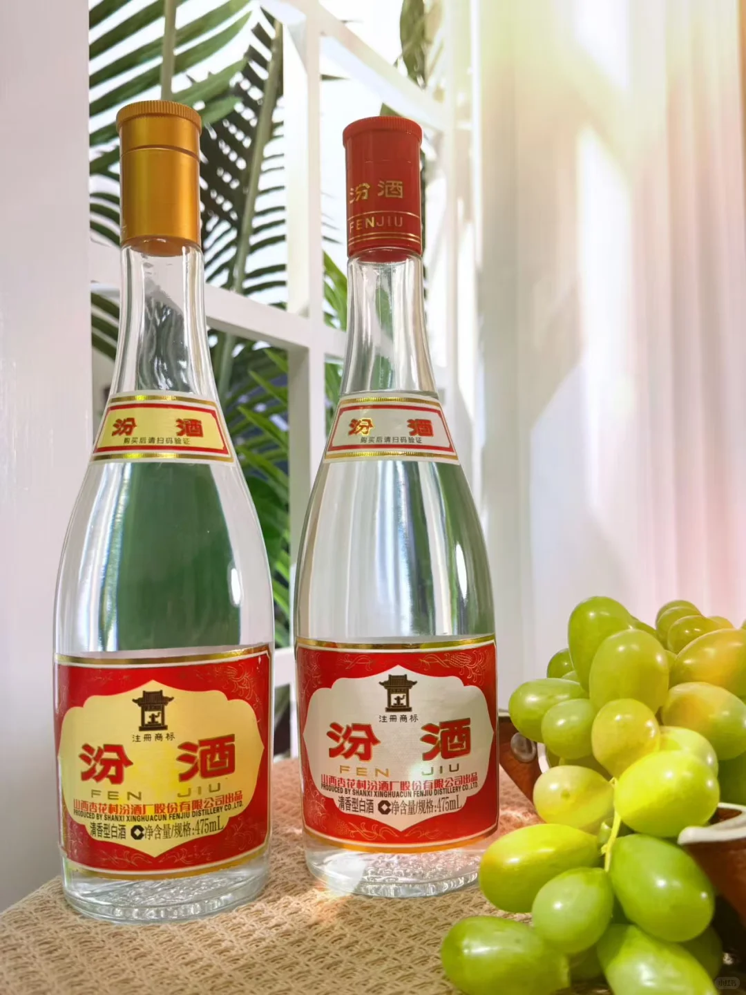 汾酒“入门”|黄盖VS红盖,这波我站...?