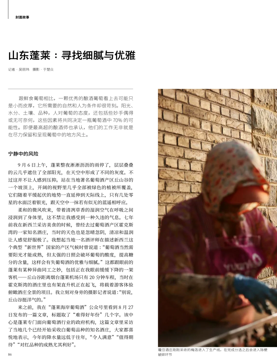 三联新刊|寻找好酒:葡萄酒的中国可能性