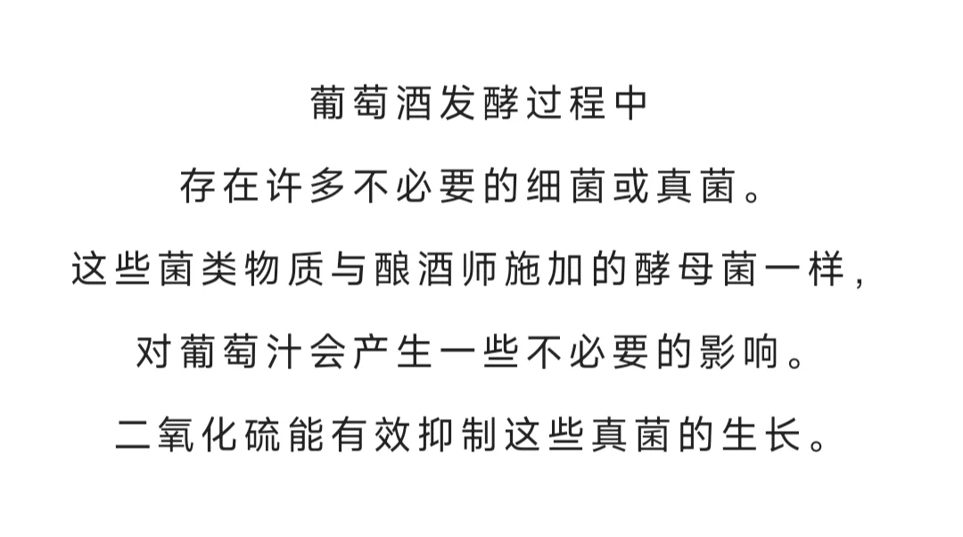 葡萄酒中的二氧化硫到底是个什么鬼？