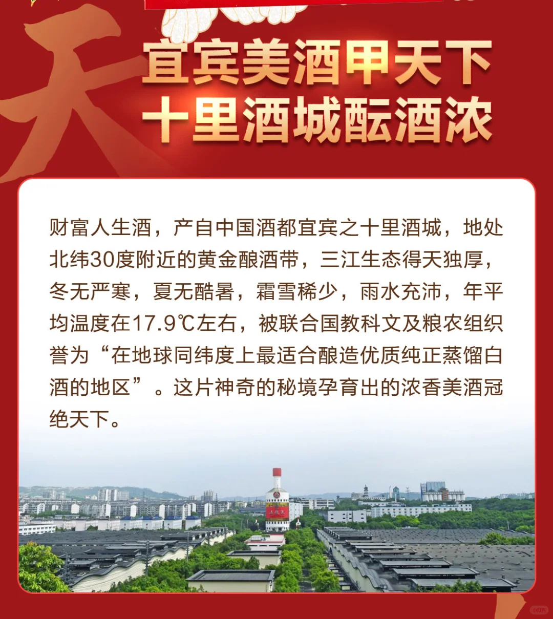 五粮液-财富人生系列白酒