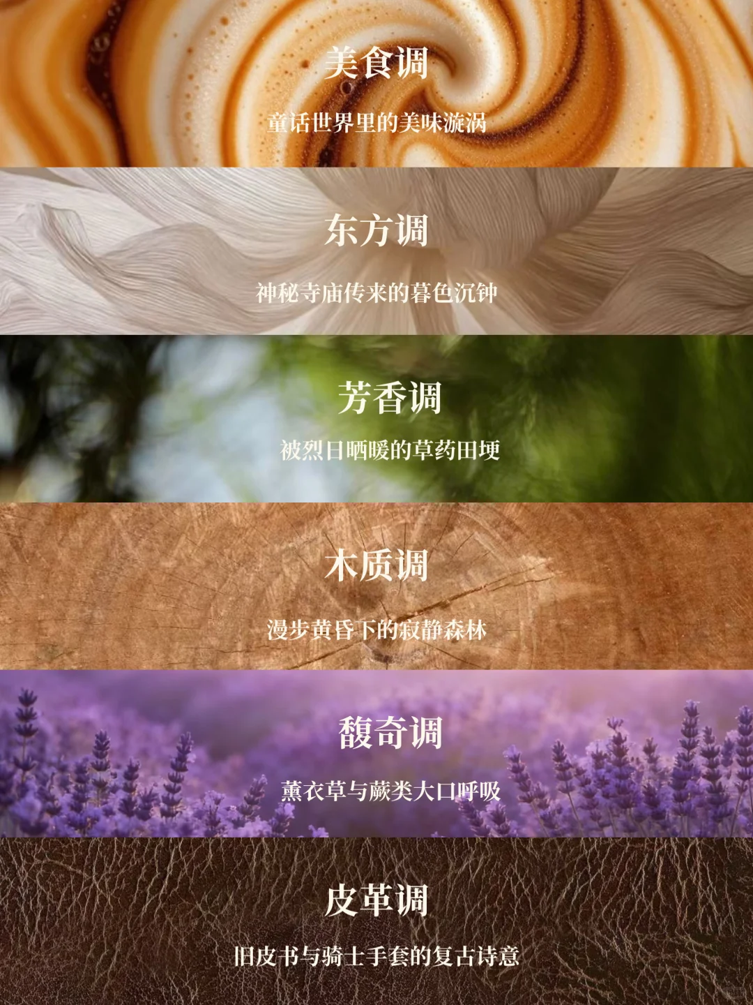 香水12香调超详细指南|调香爱好者码住!!!