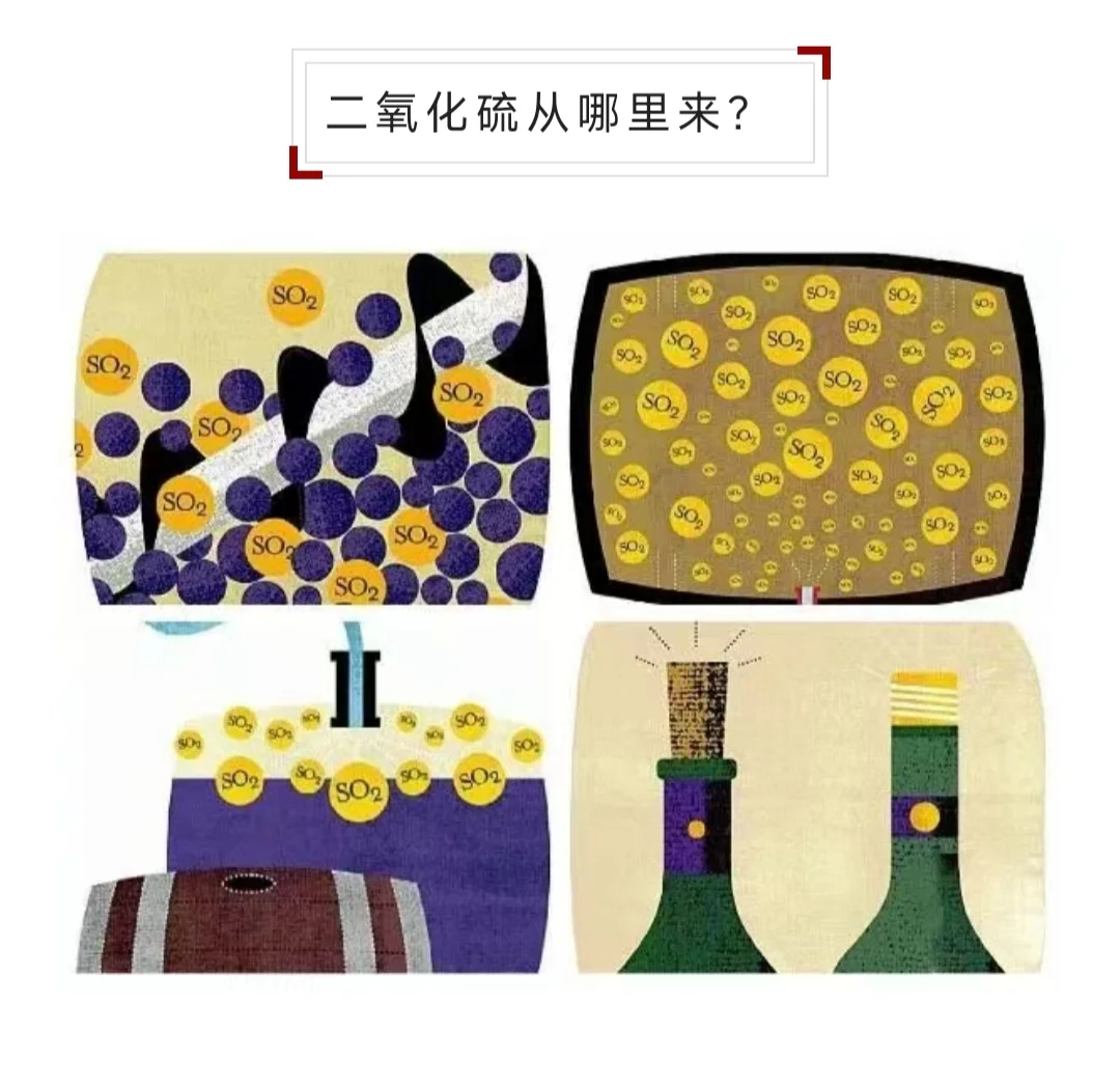 葡萄酒中的二氧化硫到底是个什么鬼？