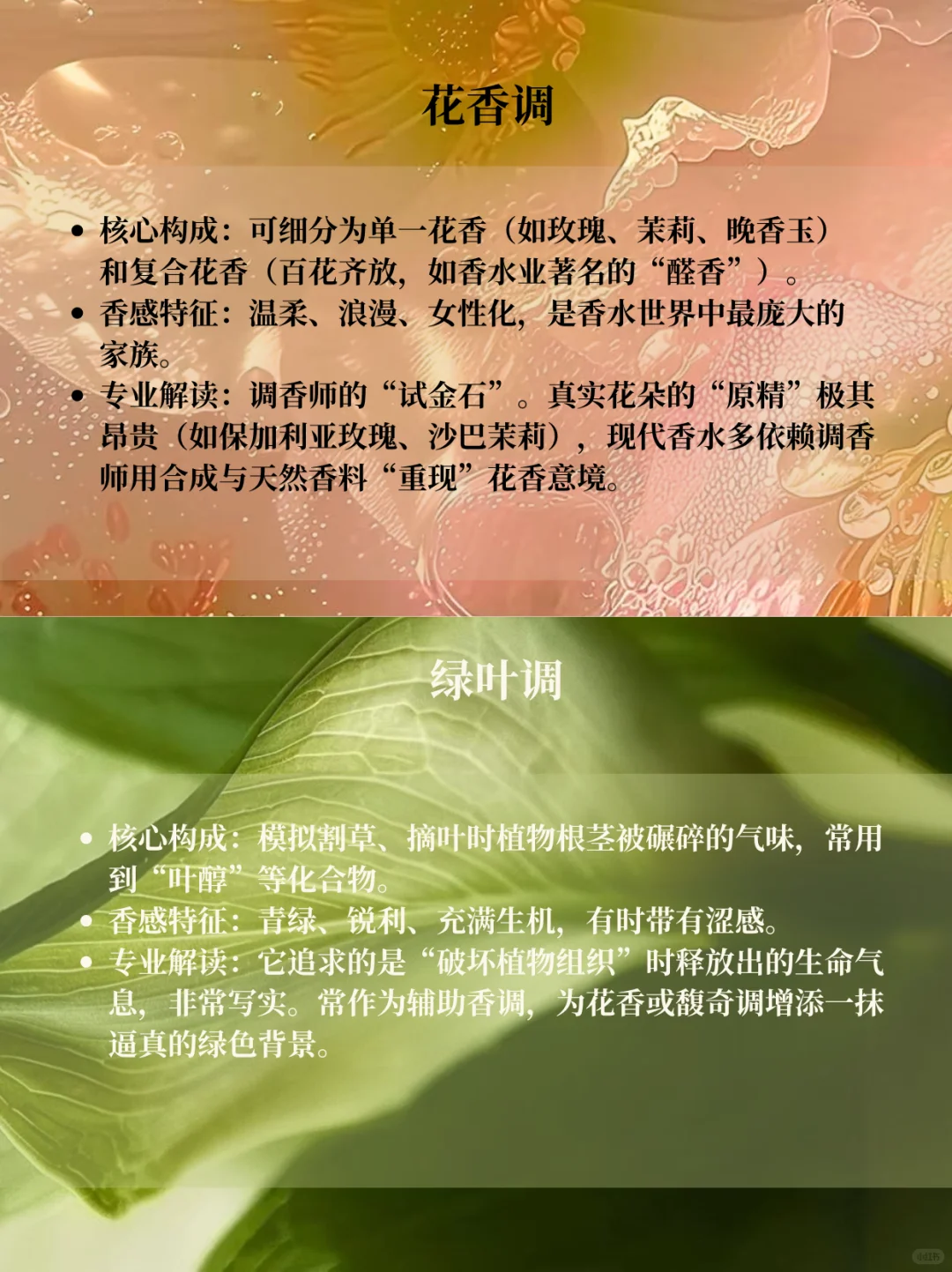 香水12香调超详细指南|调香爱好者码住!!!