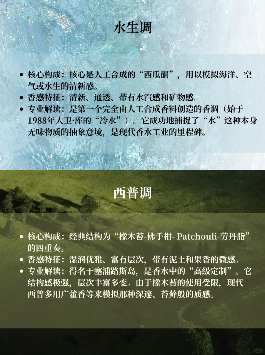 香水12香调超详细指南|调香爱好者码住!!!