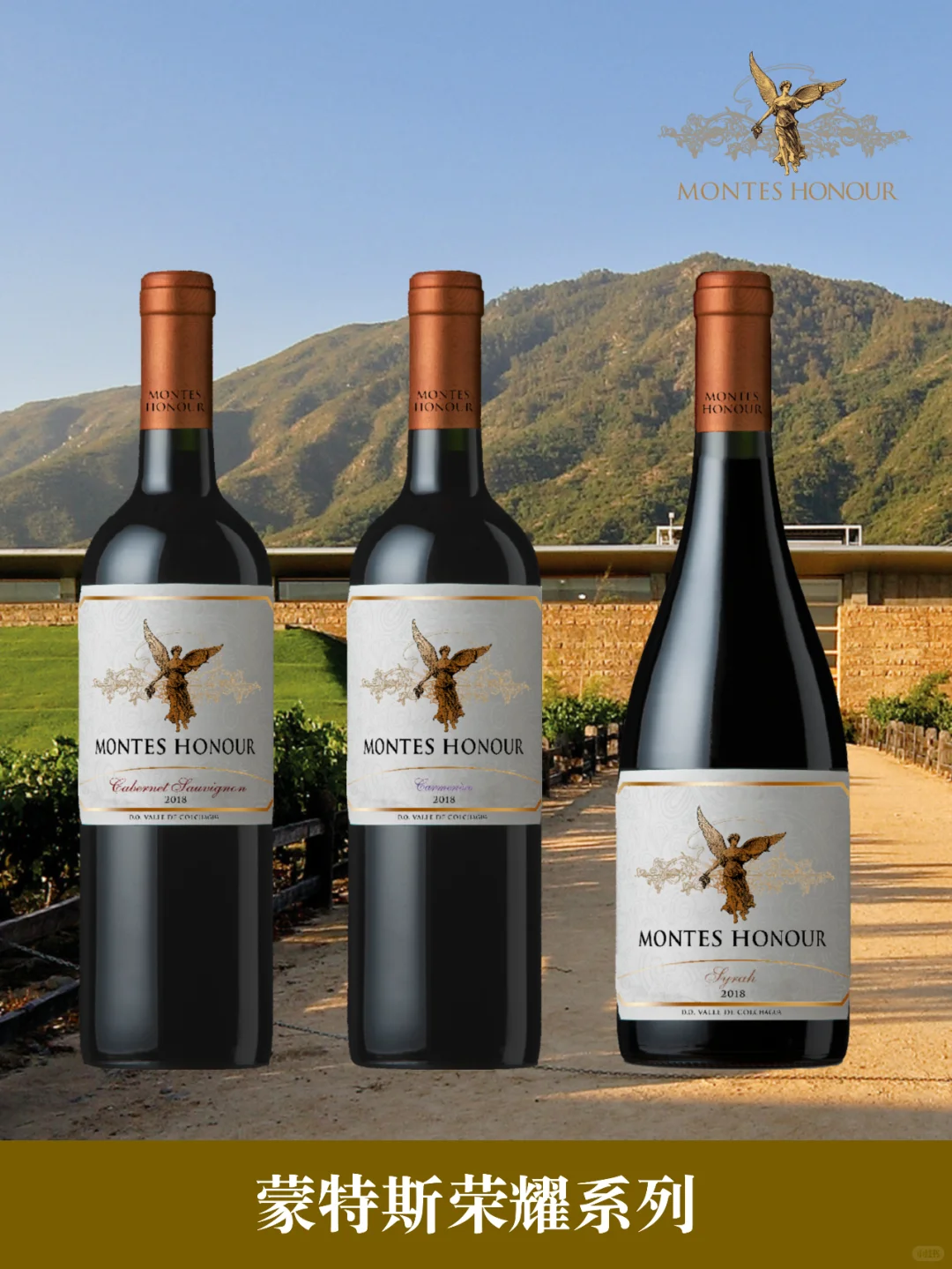 双十一红酒清单❗️❗️快点加进购物车