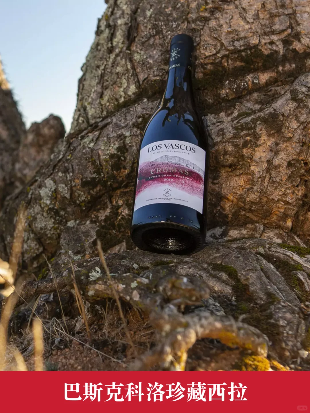 双十一红酒清单❗️❗️快点加进购物车