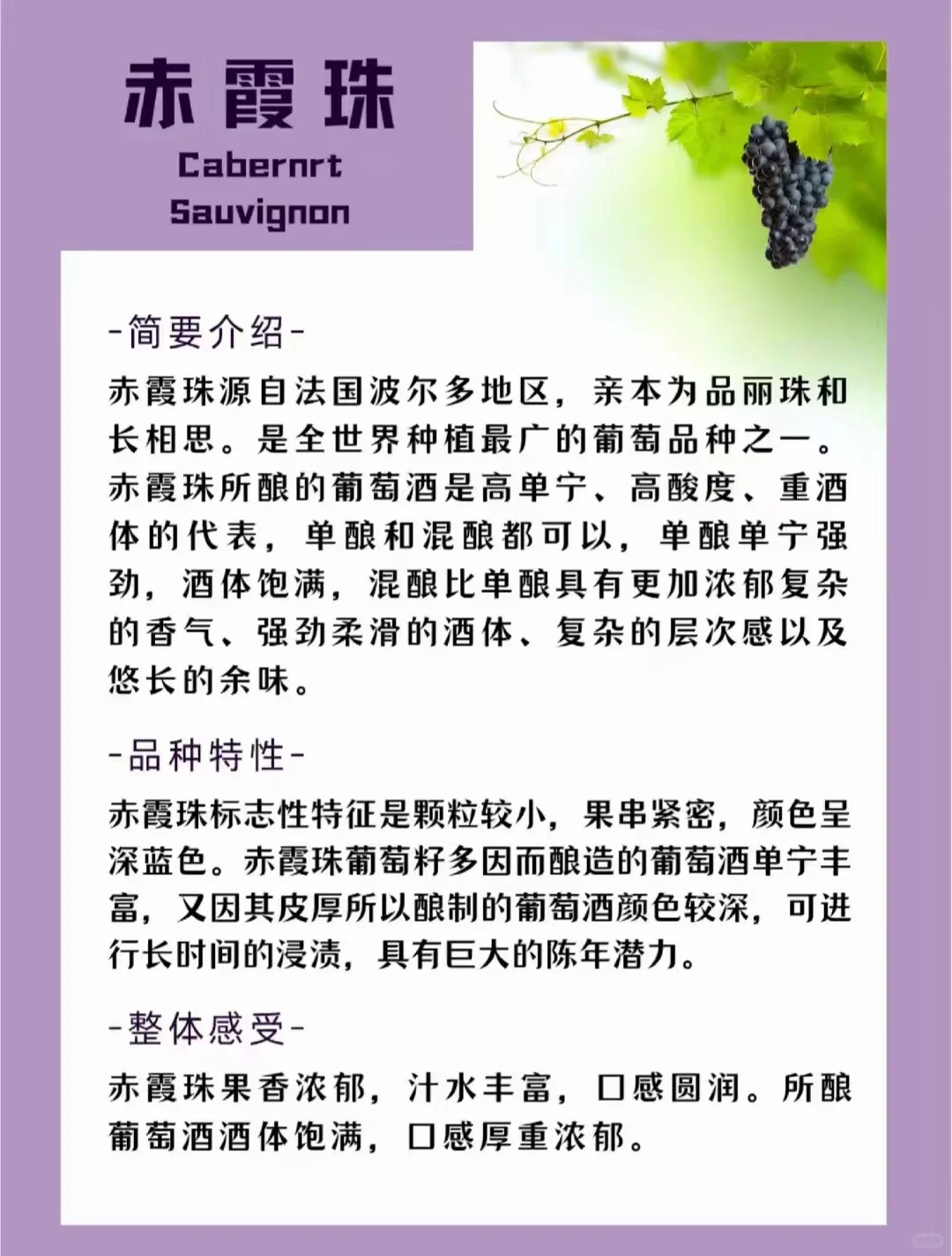葡萄酒小知识
