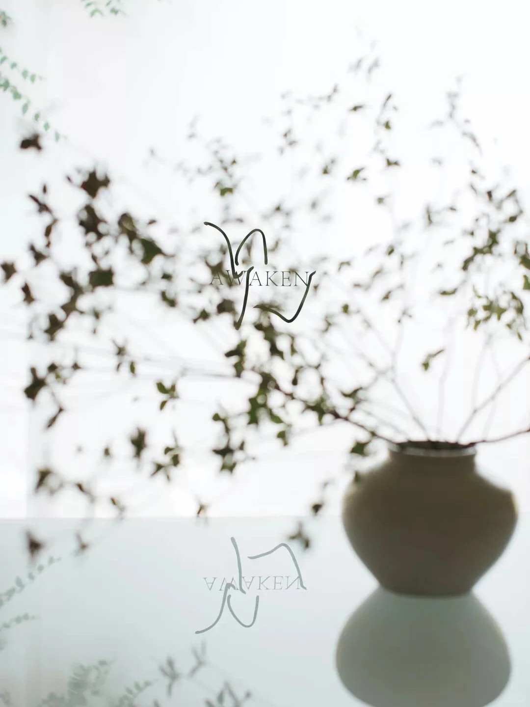 白酒品鉴-见酒道馆