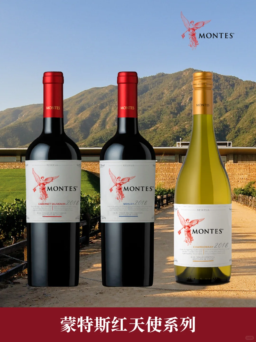 双十一红酒清单❗️❗️快点加进购物车