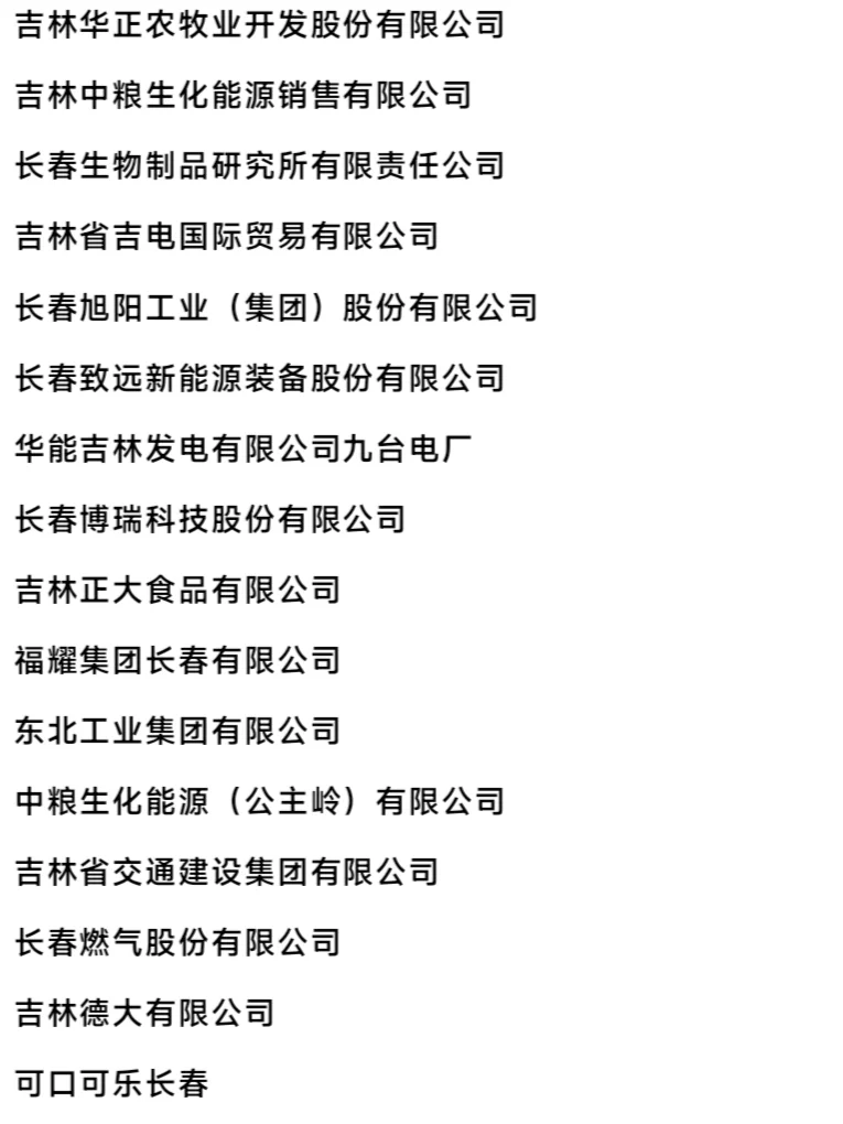 长春头部企业