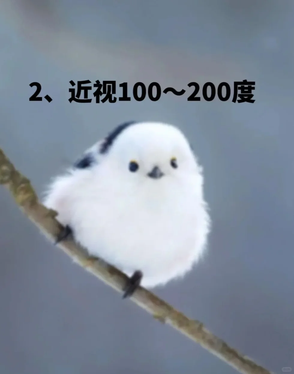 眼睛突然变模糊,你是第几张图