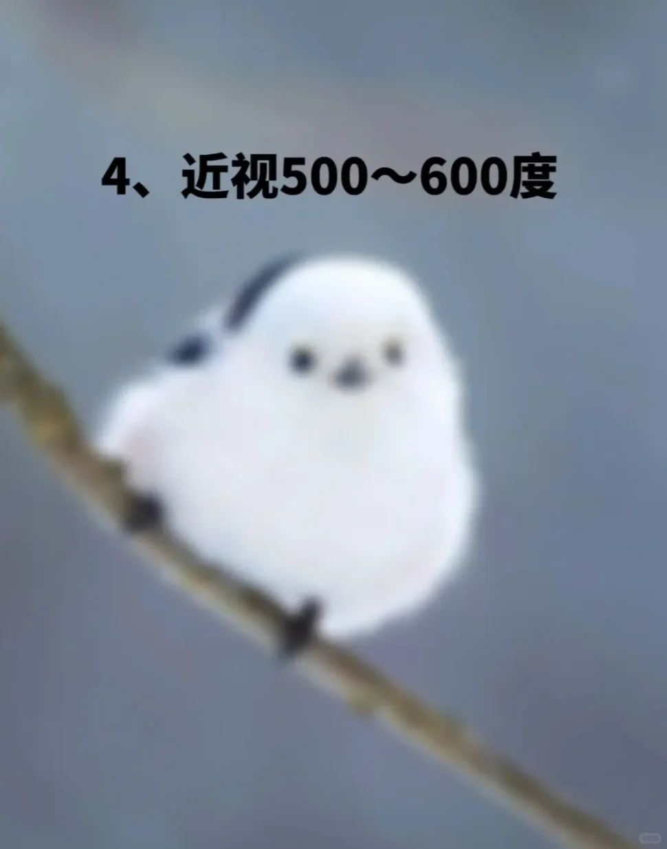 眼睛突然变模糊,你是第几张图