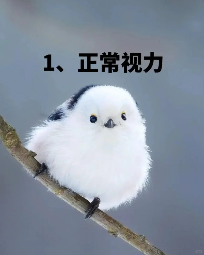 眼睛突然变模糊,你是第几张图