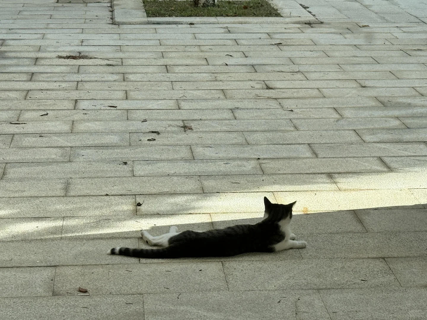 纯粮白酒好牛逼的白酒